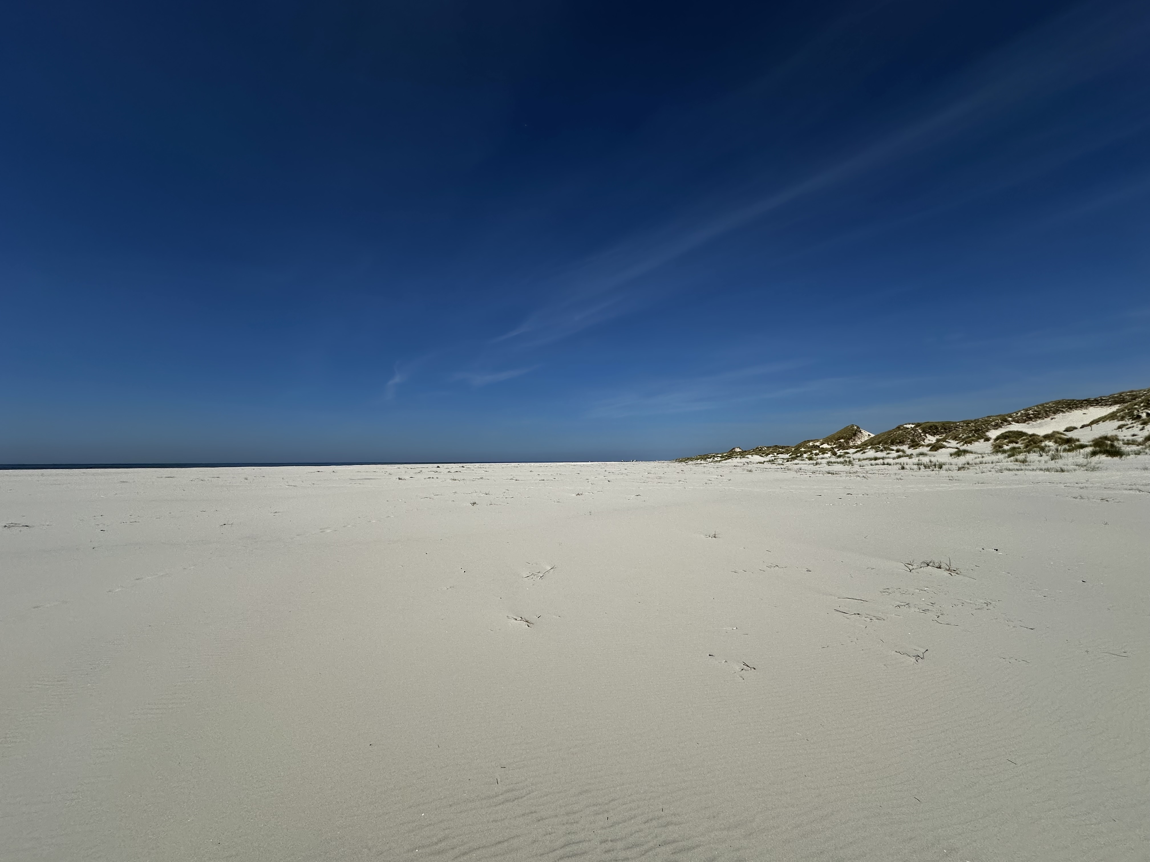 Donnerstag, 21. März 2024 – Amrum