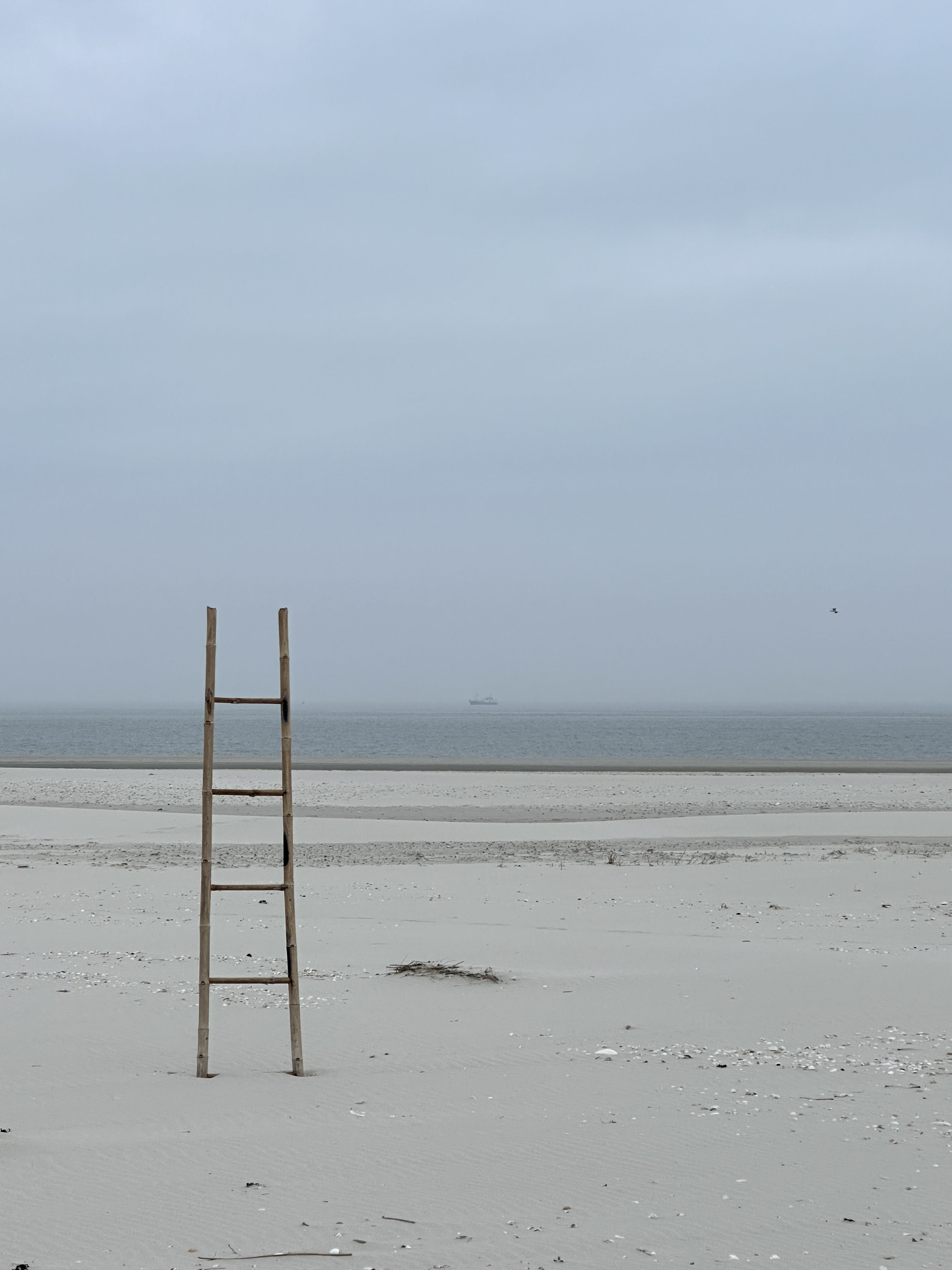 Di. 26. März 2024 – Warum gerade Amrum?