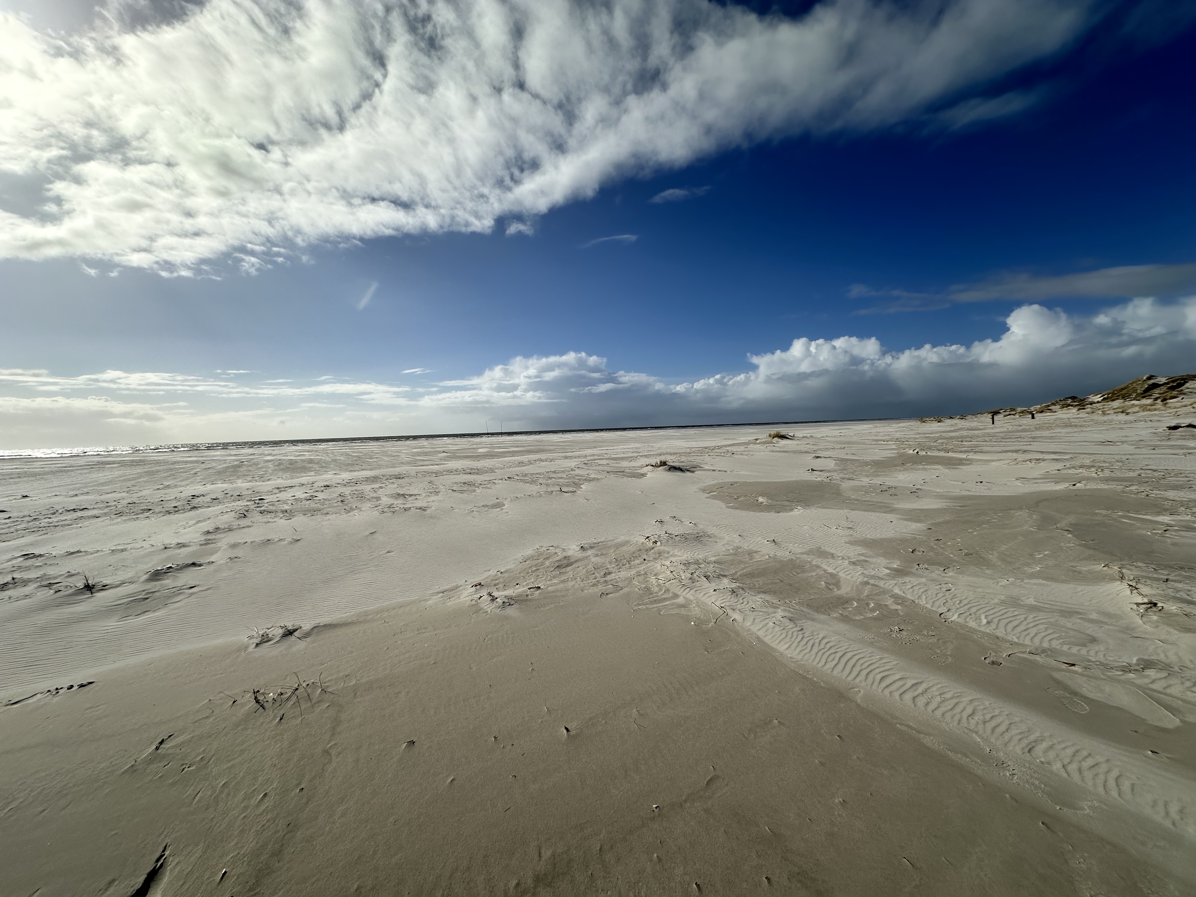 Anfang April 2024 – Ja, warum eigentlich?