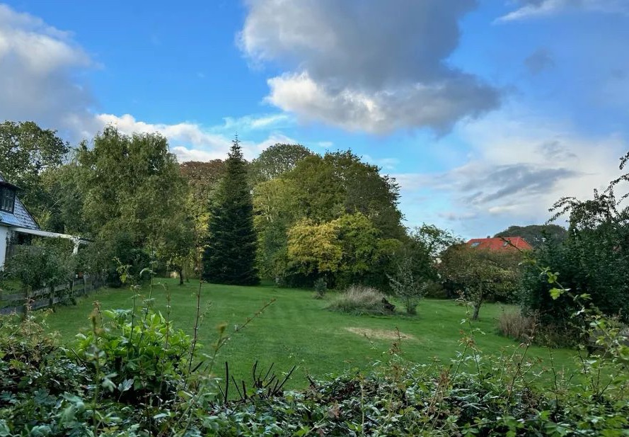 Mitte Februar 2025 – Tatort Tönning