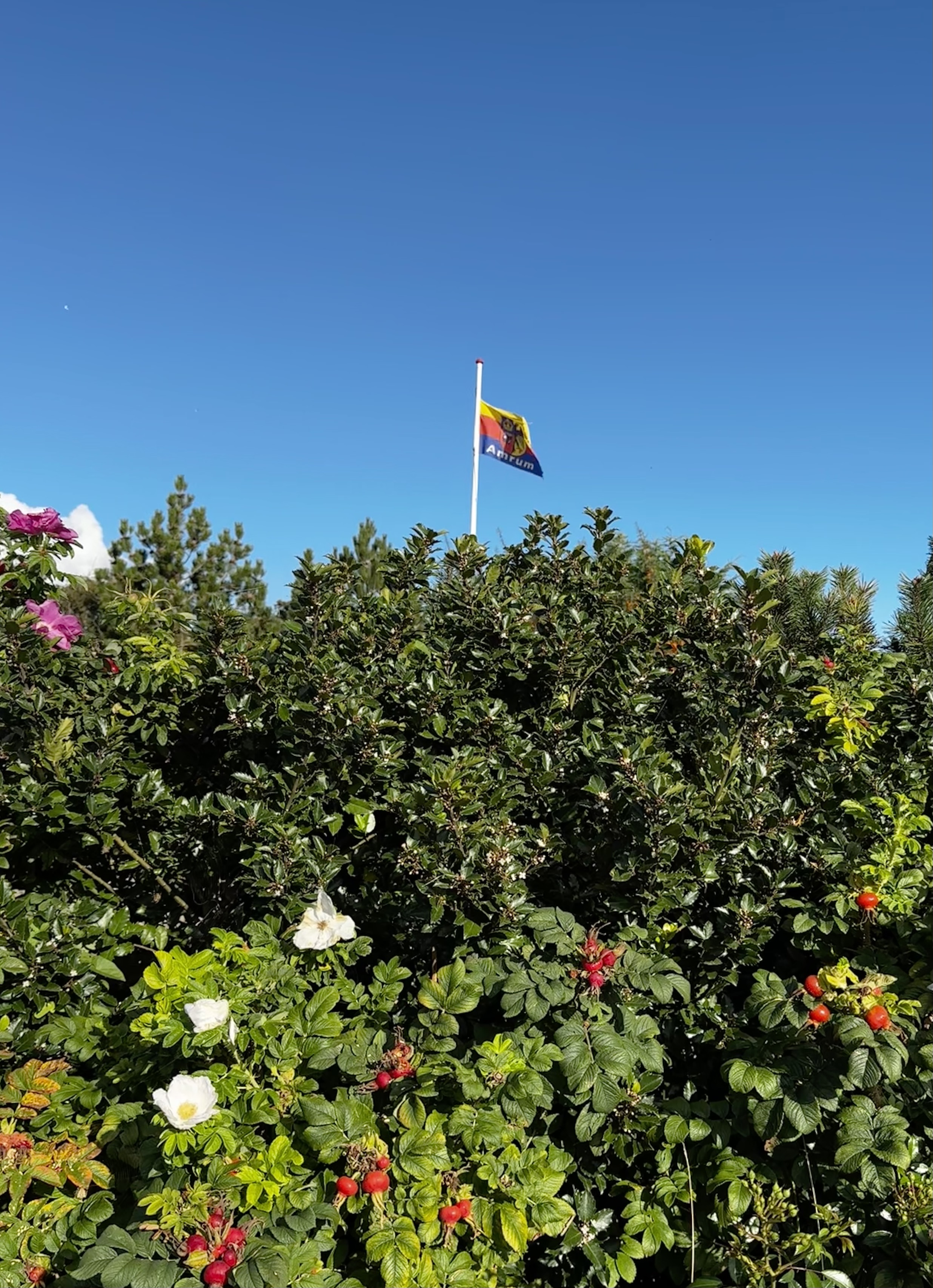 13. Mai 2025 – Kost für Herz, Seele und Magen